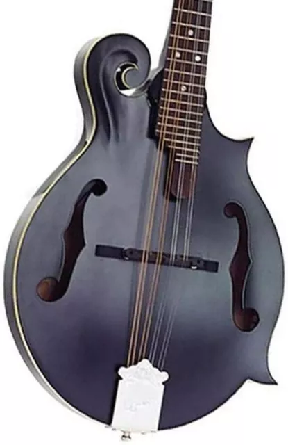 Ozark Mandoline F Modell halbglänzend transparent schwarz mit Gigbag 2355BK 3