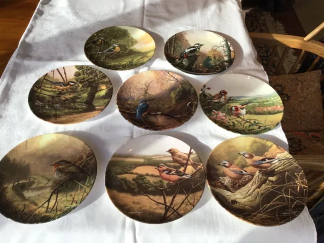 Treasures of the Morning Set 8 Royal Doulton Collector Plates by Adrian Rigby