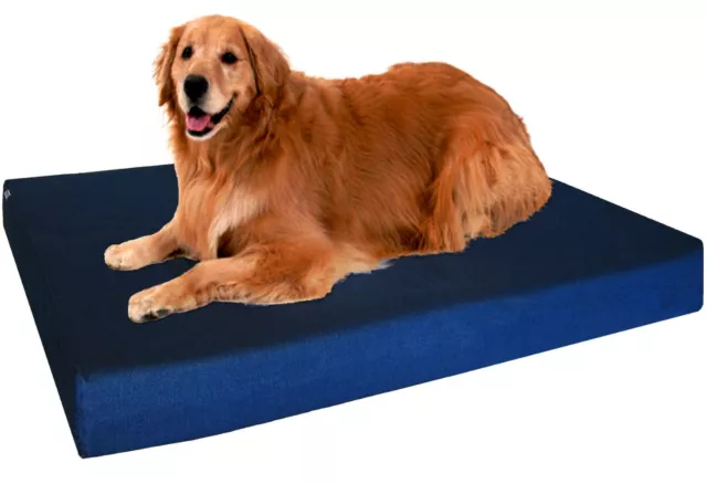 Jumbo Blue Denim Pet Dog Bed Orthopedic Waterproof Memory Foam 55x47 Extra Large