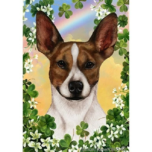 Clover House Flag - Brown and White Rat Terrier 31130