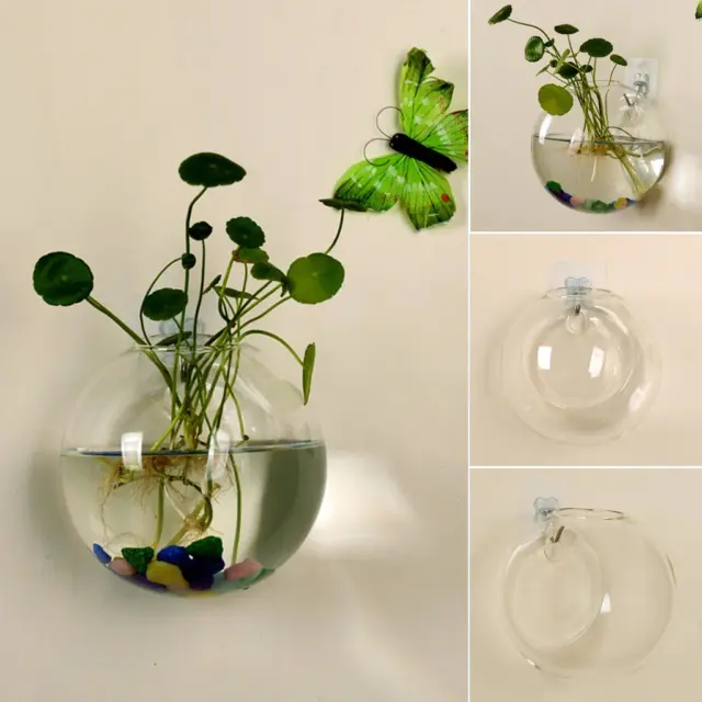 Flower Pot Glass Vase Wall Hanging Hydroponic Terrarium Fish Tanks Potted Plant