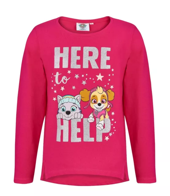 Paw Patrol Shirt Girls long sleeve top Skye Everest glitter design 2 years new