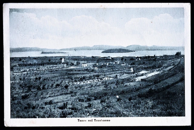 Umbria - Perugia - Tuoro Sul Trasimeno - F.g. Viaggiata - 1950.