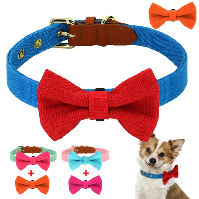 Fashion Dog Collar with Removable Bow Tie Adjustable for Pets Cats Durable Nylon