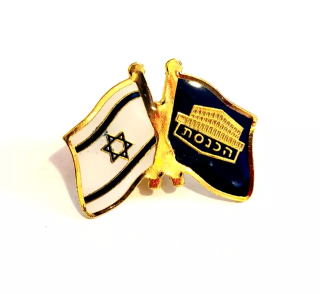 ISRAEL KNESSET MP lapel pin NEW - Israeli flag Jewish politics Middle East vote