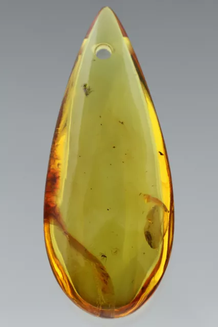 2 Fossil GNATS & COLLEMBOLA Genuine BALTIC AMBER Amulet Pendant 9.9g 190402-1