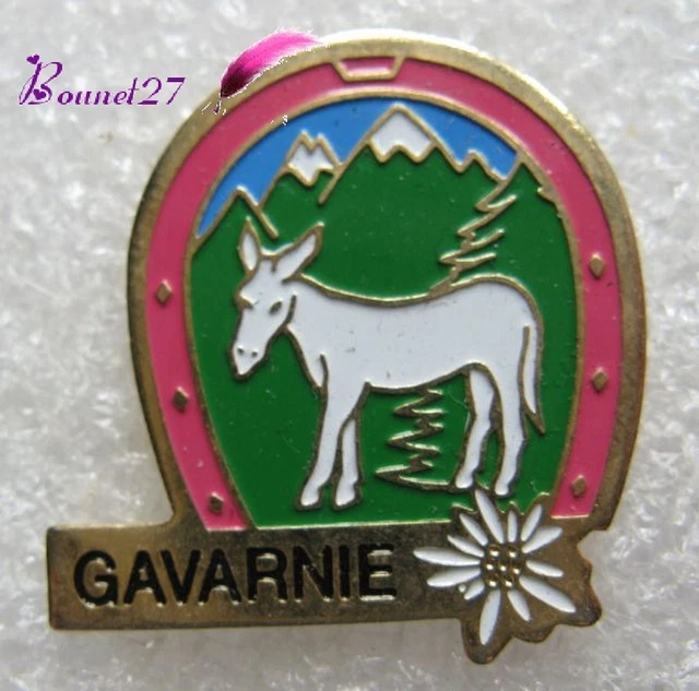 Pin's Paysage Le Cirque de GAVARNIE Fer à cheval Ane Blanc fleur Edelweiss #249