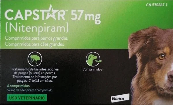 Capstar Anti-puces Petit Chien 11,4mg 6 Comprim&eacute;s Anti-puces | Pharmacie &amp; Parapharmacie En Ligne