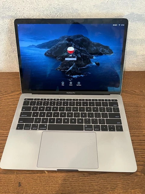 APPLE MACBOOK PRO 13" CORE i5 2017 256GB 8G RAM  750 CICLI