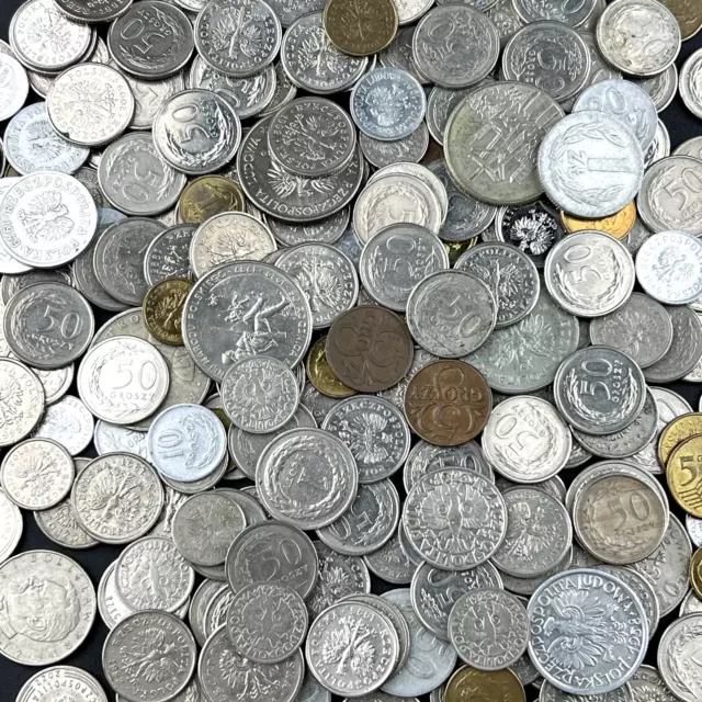 Polish Coins: 100 Random Coins from Poland, Coin Collection Lot