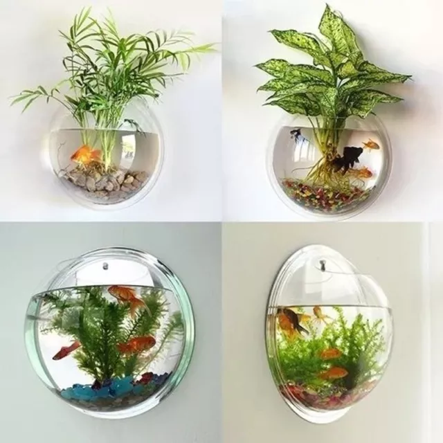 Hanging Wall Fish Tank Mounted Clear Bowl Bubble Aquarium Terrarium Goldfish Box