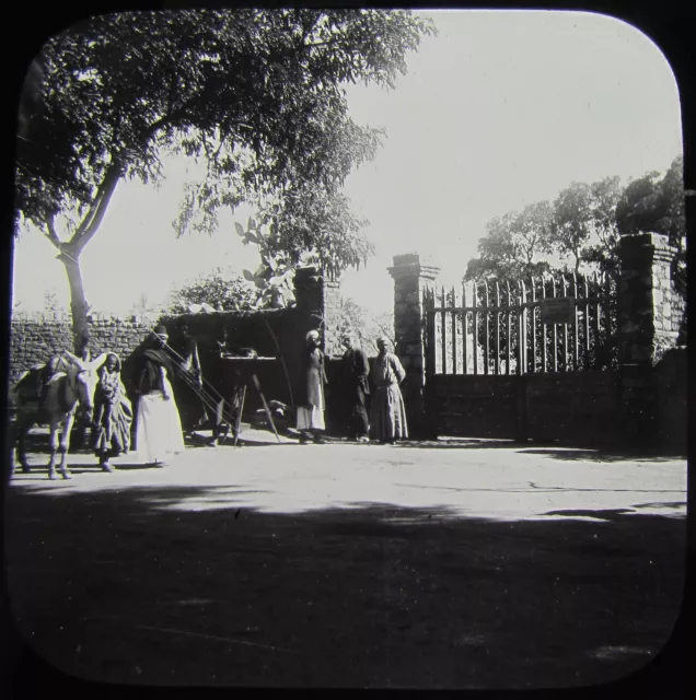 Glass Magic Lantern Slide HELIOPLIS ENTRANCE TO VIRGINS GARDEN C1900 EGYPT