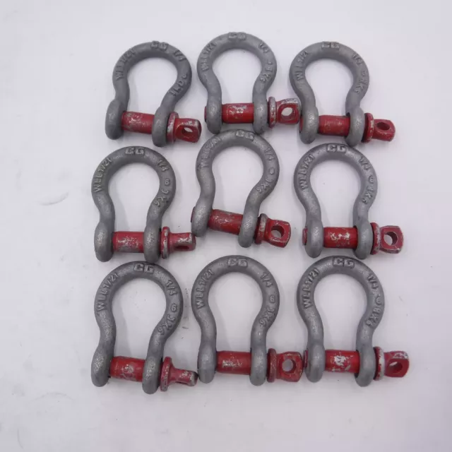 9 Pack 1/2 Ton 1/4" Galvanized Screw Pin Anchor Shackle  WLL1/2t