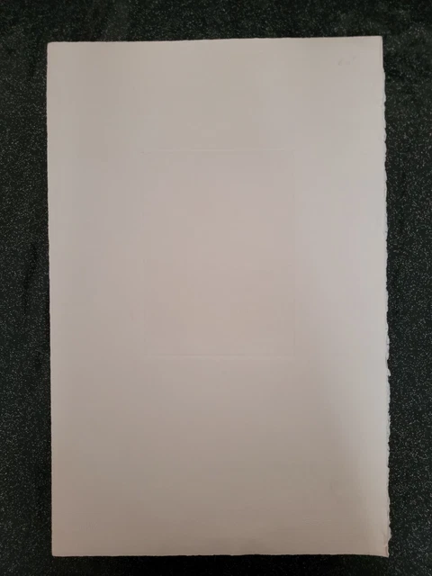 Véronique JORDAN-ROMAN (1943-1991) eau forte ? Lithographie numérotée et signee 9