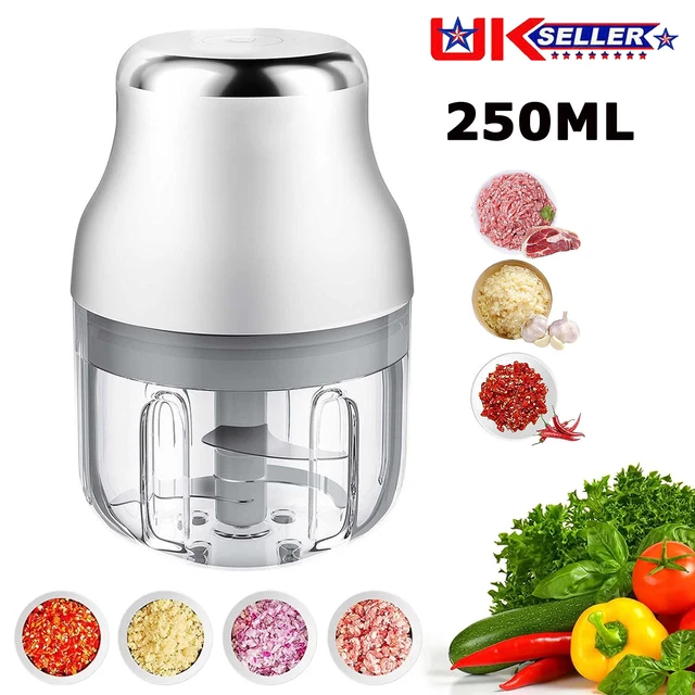 250ML ELECTRIC GARLIC Food Chopper Vegetable Chopper Grinder Blender