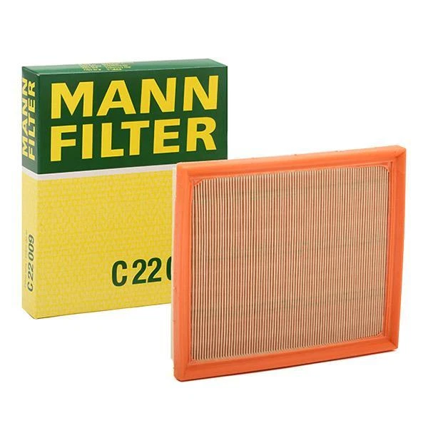 MANN-FILTER Filtro aria Filtro dell'aria Filtro aria motore C 22 009 224mm 35mm