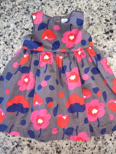 Baby Girls Size 9 Months Dress by Carter's ~ Gray, Pink & Red Flowers ~ Layered
