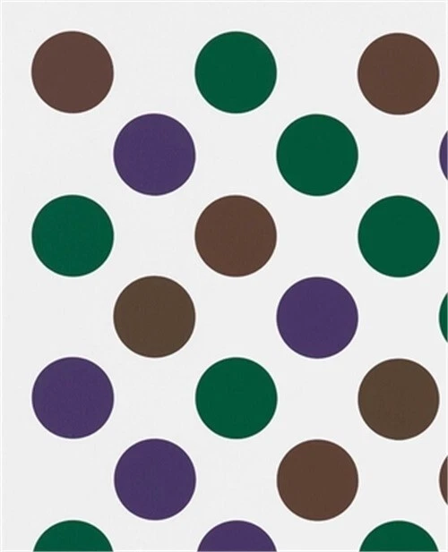 Bridget Riley: Past Into Present (Hardback or Cased Book)