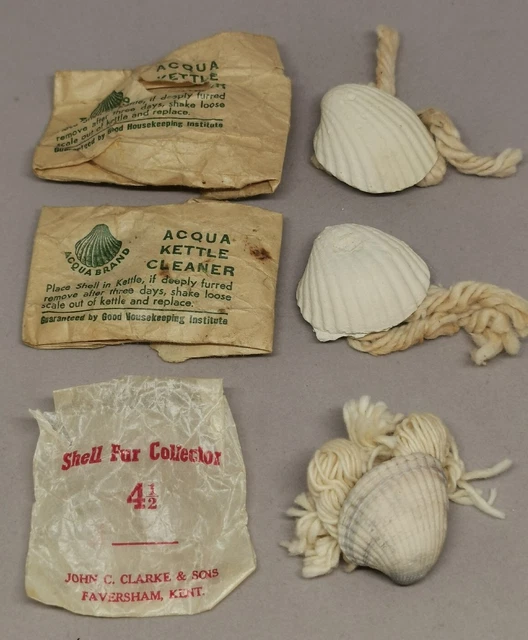 De colección década de 1940 3x Agua Shell Caldera Descalzador Calma Colector Limpiador Removedor de Piel