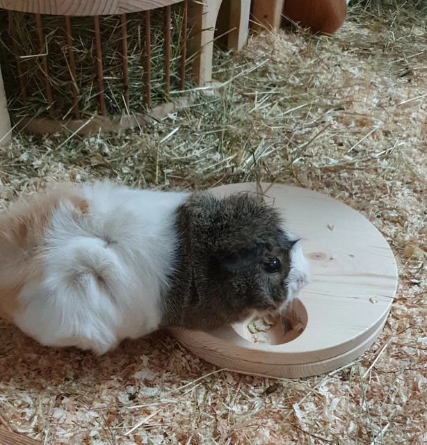 menschen hundebett Hundebett für Menschen main image 1