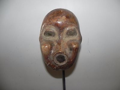 Arts of Africa - Bamileke Skull Mask - Grassland - Cameroon 9" Height x 5" Wide