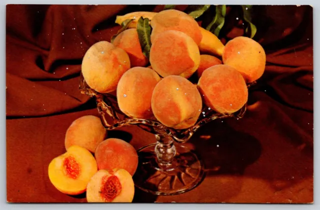 New Jersey Chrome Postcard Ridgewood Area Peach Growers