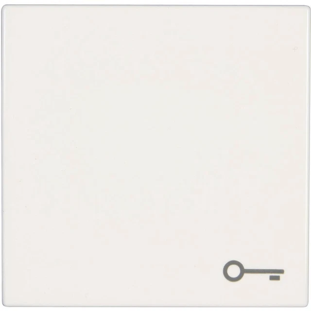 Bascule symbole clé Jung LS 990 T WW blanc-alpin
