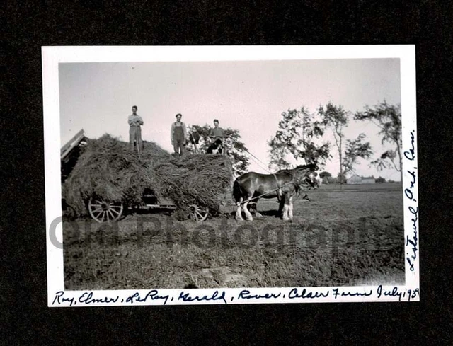 1939 Farm Harvest Time Hores Drawn Wagon Farmers Works Old/Photo Snapshot- G333