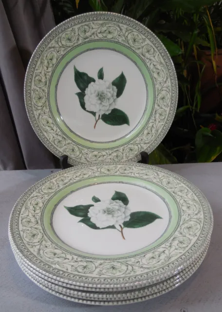 RHS Royal Horticultural Society Applebee Collection 27cm Dinner Plates x 6