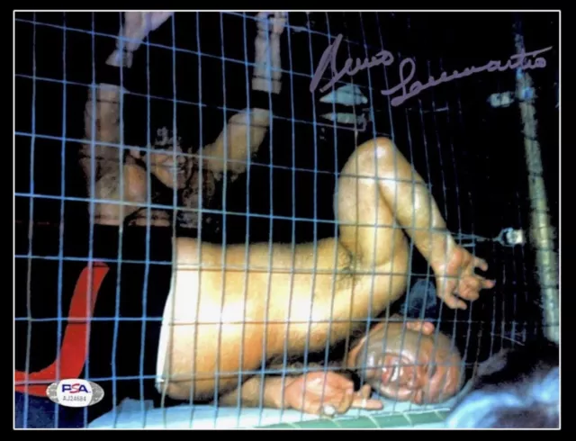 Wwe Bruno Sammartino Firmata a Mano Autografato 8X10 Foto Con PSA DNA COA 3 Raro