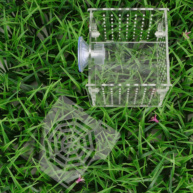 Acquario Allevamento Scatola Di Isolamento Serbato Di Pesce Acrilico Allevatore Incubatore Supporto Per Incubatore Accessori Per Acquari Forniture Per Pesci