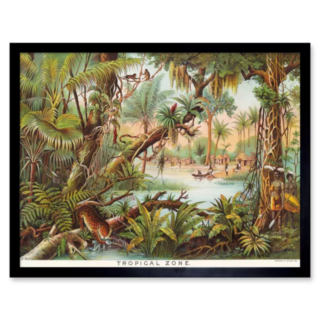 Map Yaggy 1893 Tropical Zone Jungle Animals Wall Art Print Framed 12x16