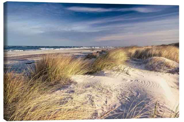 Leinwandbild Ostseeküste – Traumstrand auf dem Darß - Sascha Kilmer