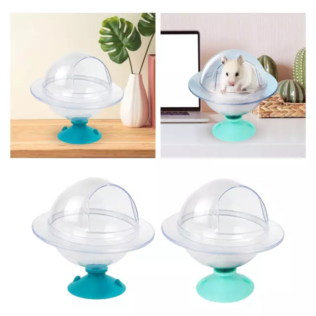 Hamster Sand Bath Transparent Hamster Sand Container Stable Suction for Hedgehog