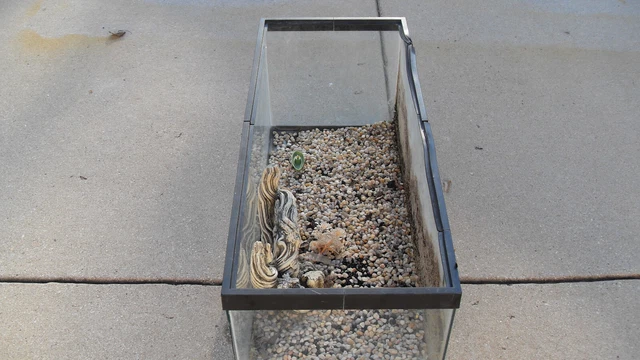 20 GALLON FISH TANK w/ accessories  2