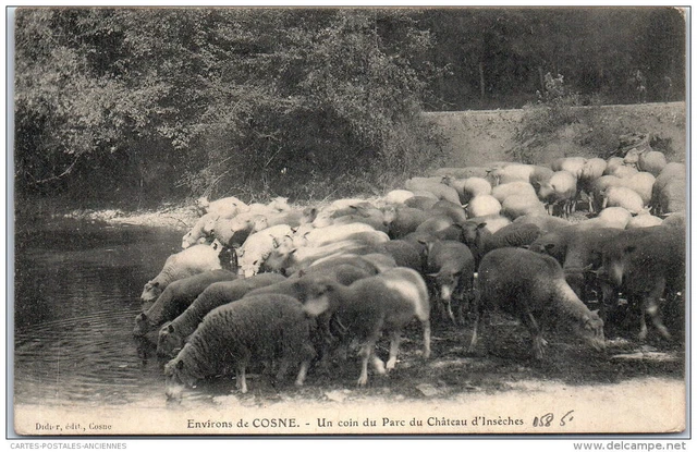58 - un coin du parc du CHATEAU d'inseches