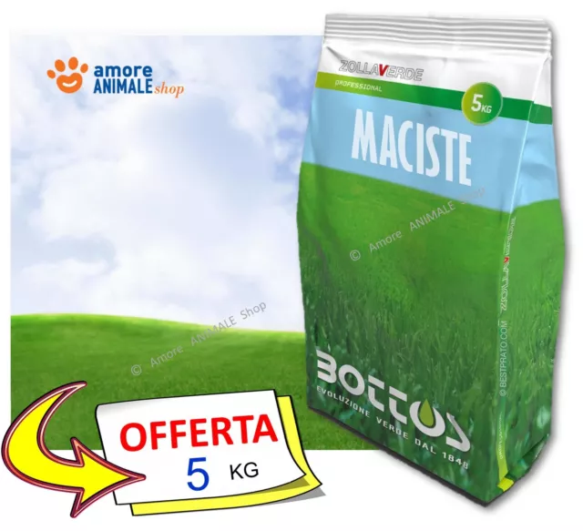 Bottos MACISTE → 1 / 5 / 10 / 20 kg - Semi Per Prato di Festuca, Tappeto Erboso