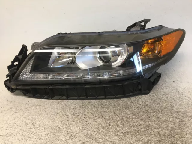 2013 - 2016 Honda Accord Coupe Driver Left LH Side Halogen Headlight OEM 5917