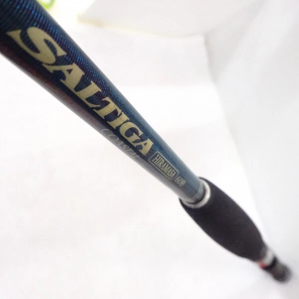 DAIWA SALTIGA COASTAL Hiramasa 60B Cond/C- $182.00 - PicClick