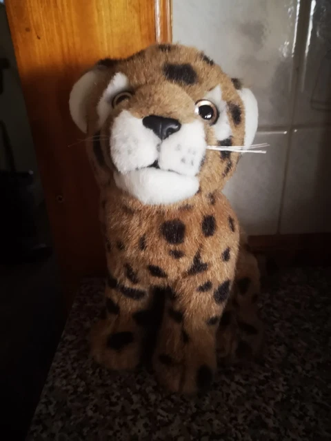 Leosco plush deals