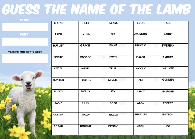 thumbnail image 2 of Print Snappy 'Guess The Name' Fundraising Scratch Card – A3 Poster For Charity Raffles 2 of 3