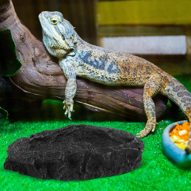 RESIN TURTLE FEEDER Lizard Water Bowl Dish Reptile Terrarium £10.29 PicClick UK