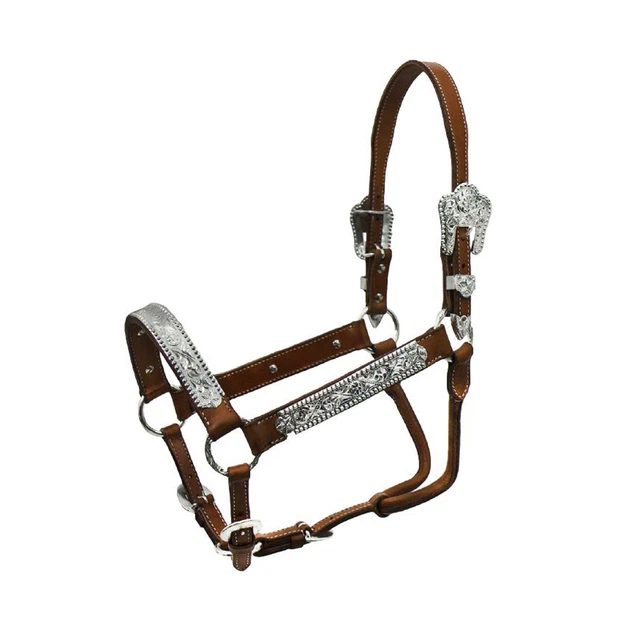 Licol bi-matière polypropylène cuir
