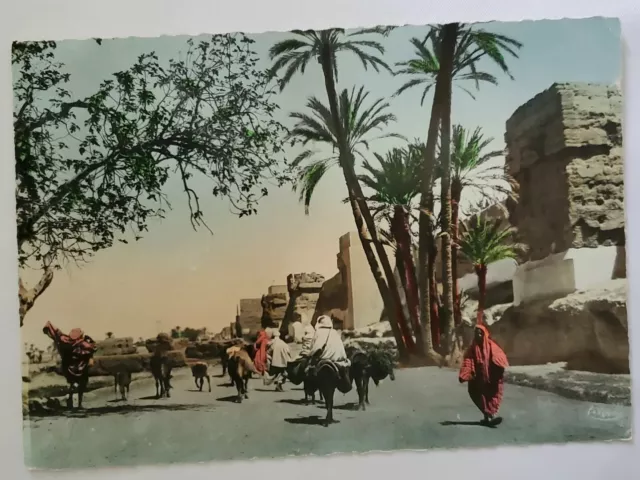 Postcard Scenes et Types Du Maroc Depart pour le Souk Morocco A4