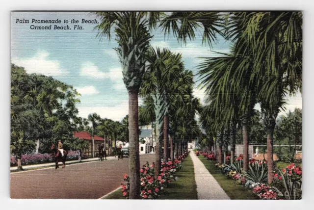 Postcard Linen FL Palm Promenade Men on Horses Street View Ormond Beach Florida