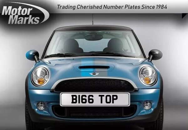 B166 Top Cherished Number Plate Big Top Marquee Hire Weddings Circus Tents Event 3