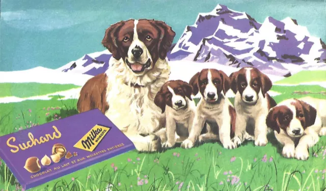 Buvard Chocolat Suchard Saint-Bernard