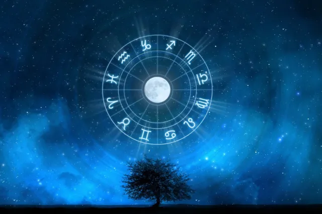Horoscope Astrology Zodiac Sign Poster Photo Wall Art Print 16x24, 20x30, 24x36"