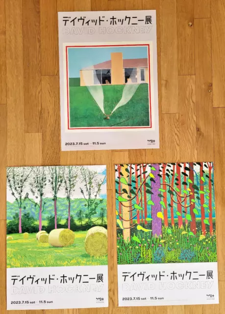 Hockney IN Tokyo - Serie Of 3 Original Exhibition Poster -Muy Raro- 2023