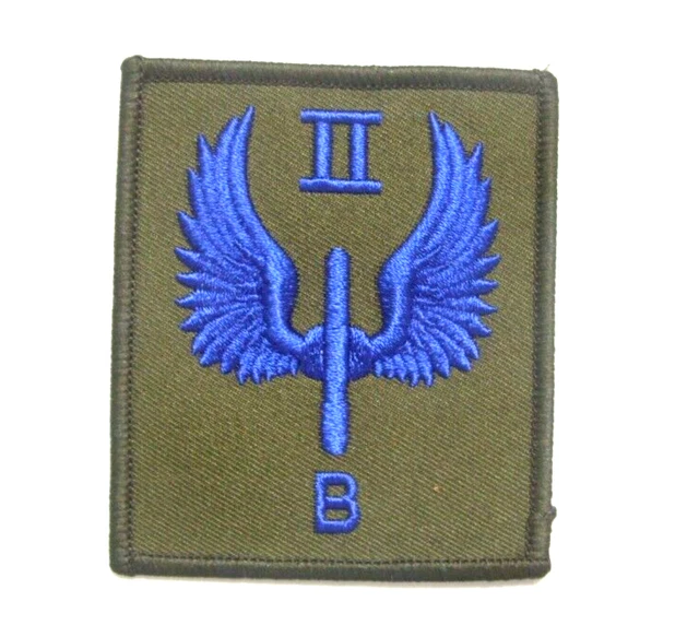 Special Forces Crest DI Pin US Army SF STAR SOG Insignia SILVER Lapel - Foto 5